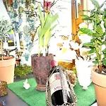 Gasthof Zum Schupfen Hotel 3*