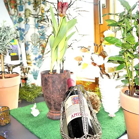 Gasthof Zum Schupfen فندق 3*