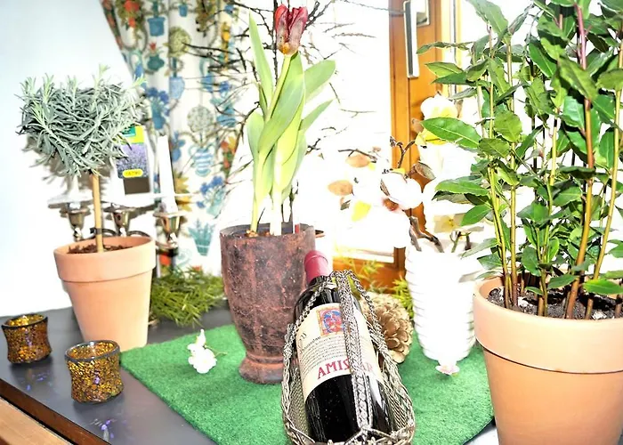 Gasthof Zum Schupfen 酒店 3*