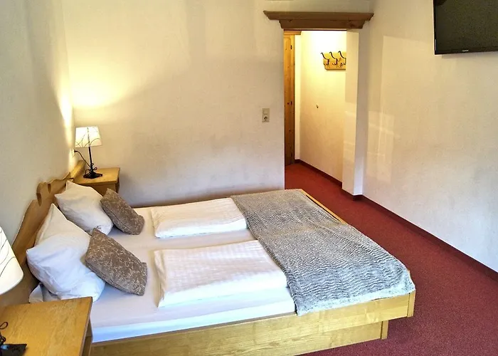 酒店 Gasthof Zum Schupfen 3*