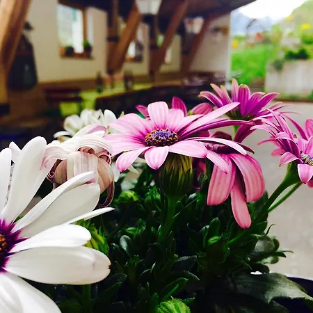 Gasthof Zum Schupfen 3*