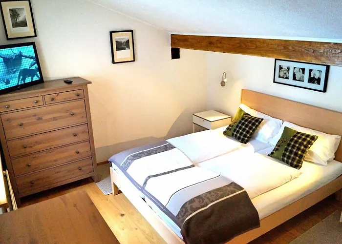 Otel Gasthof Zum Schupfen